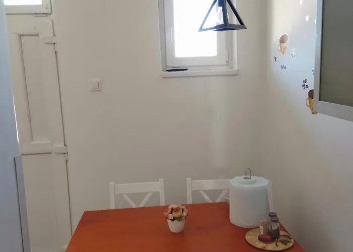 Kucko * Satoraljaujhely